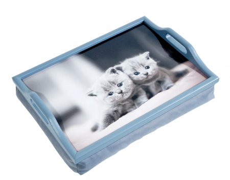 Kittens Lap Tray With Cushion
